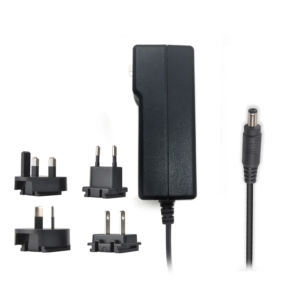 12V 4A Interchangeable AC DC Adapter